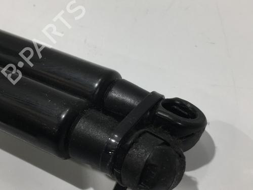 tailgate-lift-support-peugeot-108-2014-25407051 main image