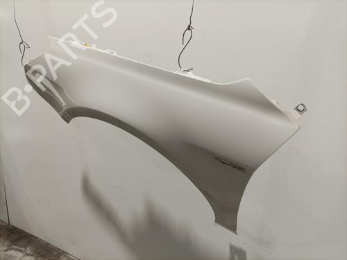 Left front fenders CITROËN C5 III Break (RW_) 2.0 HDi | BP29737763C41 
