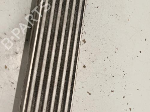 Used Intercooler Intercooler FIAT GRANDE PUNTO (199_) 1.3 D Multijet (69 hp) 22581676 22581676