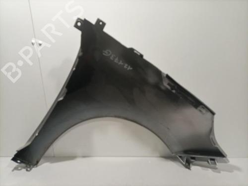 Left front fenders RENAULT SCÉNIC III (JZ0/1_) 1.5 dCi | BP22579665C41 