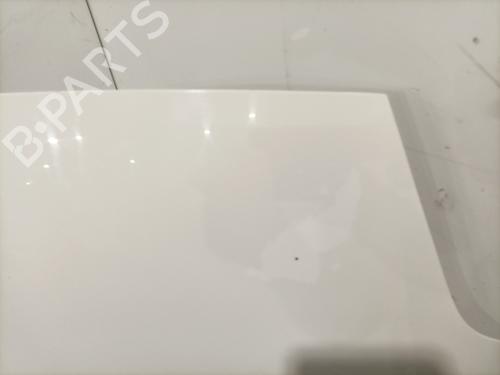 Hood FIAT PUNTO EVO (199_) 1.2 | BP28415732C1