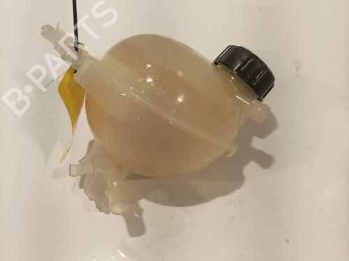 expansion-tank-citroen-c3-iii-sx-2016-24616759 main image