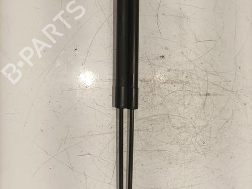 tailgate-lift-support-citroen-c3-ii-sc_-2009-30326739 main image