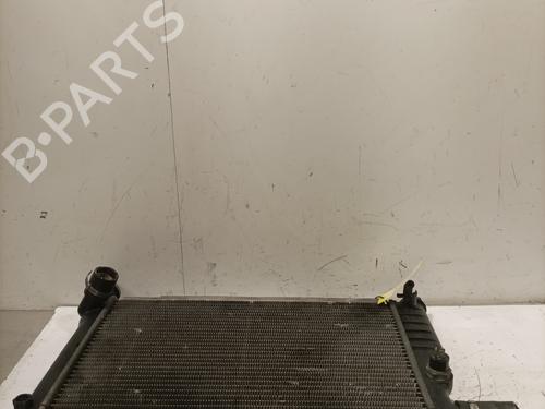 Used Water radiator Water radiator PEUGEOT 205 I (741A/C) 1.4 (60 hp) 39891860 39891860