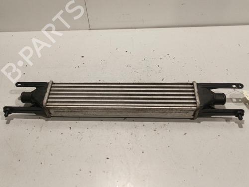 Intercooler FIAT GRANDE PUNTO (199_) 1.3 D Multijet | BP22581676M30 
