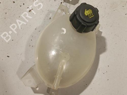 Expansion tank RENAULT CLIO IV (BH_) 1.5 dCi 75 | BP22587739C120 