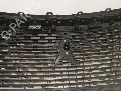 Grille PEUGEOT 2008 II (UD_, US_, UY_, UJ_, UR_, UC_) 1.5 BlueHDI 130 | BP27678228C40