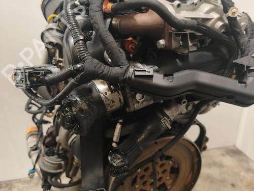 Used Engine Engine 38424244 38424244