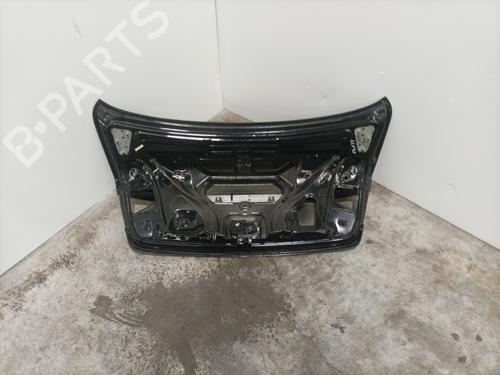 Used Tailgate Tailgate AUDI A5 (8T3) 2.7 TDI (190 hp) 22589598 22589598