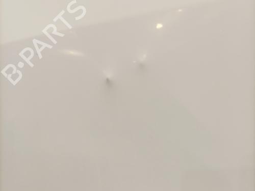 Left rear door RENAULT MASTER II Van (FD) 2.2 dCI 90 | BP24552333C4 