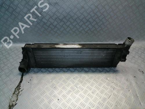 Used Intercooler RENAULT SCÉNIC II (JM0/1_) 1.9 dCi (JM0G, JM12, JM1G, JM2C) (120 hp) 22591692