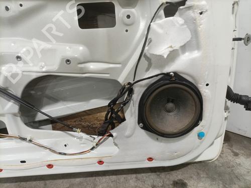 Left front door FIAT PUNTO EVO (199_) 1.2 | BP28415731C2
