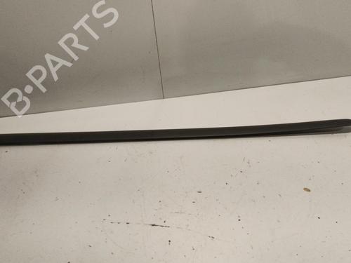 Door moulding trim VW GOLF V (1K1) 1.9 TDI | BP22570584C150 