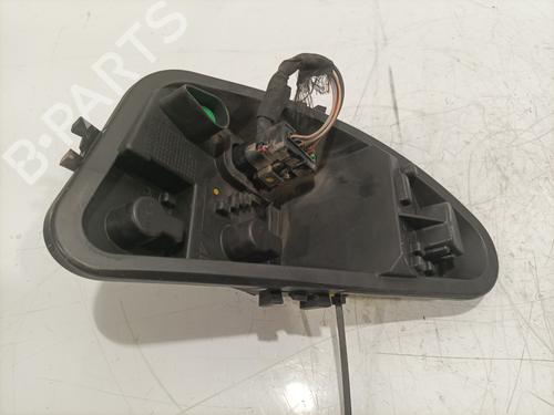 Lamp holder RENAULT CLIO III (BR0/1, CR0/1) 1.5 dCi (C/BR0G, C/BR1G) | BP30109989L10 