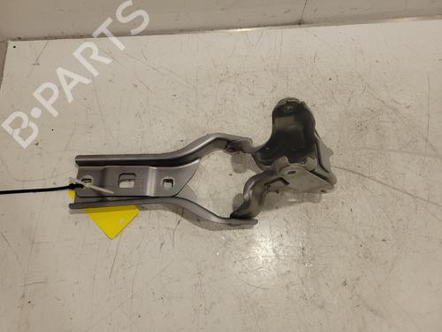 Used Hinge/Door check strap Hinge/Door check strap PEUGEOT 308 III (FB_, FH_, FP_, F3_, FM_) Hybrid 225 (F3DGYT, F3DGNH) (224 hp) 40054892 40054892
