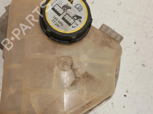 Used Expansion tank FORD FIESTA VI (CB1, CCN) 1.6 ST (182 hp) 22572650