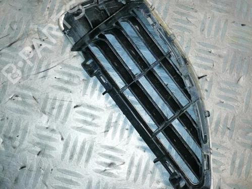 Grille RENAULT MEGANE I (BA0/1_) 1.6 16V (BA04, BA0B, BA11, BA1J, BA16, BA19, BA1K, BA1V,... | BP22578186C40 