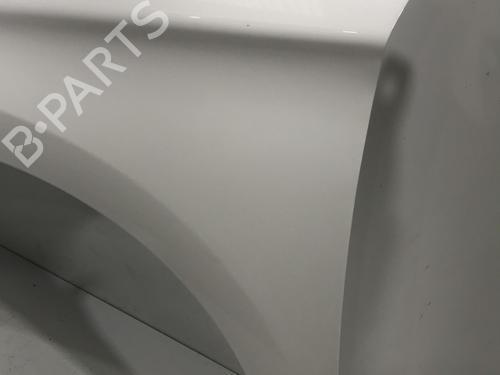 Left front fenders CITROËN C4 II (NC_) 1.6 HDi 115 | BP28155433C41 