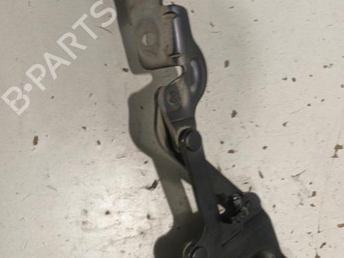Hinge/Door check strap BMW X6 (E71, E72) xDrive 35 d | BP22574802C146 