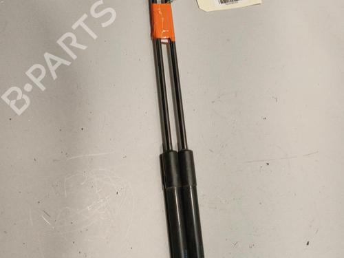 Tailgate lift support VW POLO V (6R1, 6C1) 1.6 TDI | BP22570205C138 