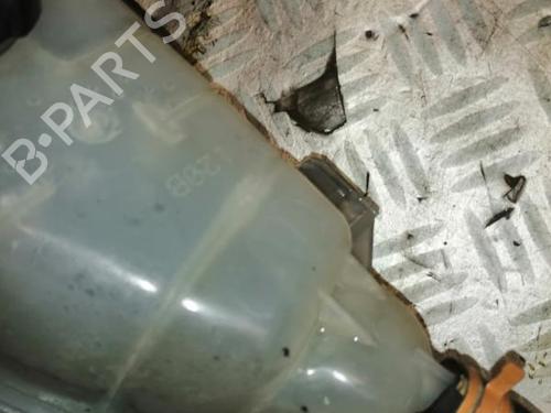 Expansion tank RENAULT CLIO III (BR0/1, CR0/1) 1.5 dCi (BR0H, CR0H, CR1S, BR1S) | BP22589983C120 