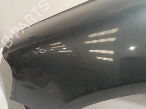 Left front fenders VW TOUAREG (7LA, 7L6, 7L7) 2.5 R5 TDI | BP22588301C41 