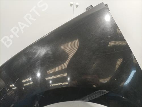 Left front fenders RENAULT SCÉNIC III (JZ0/1_) 1.5 dCi | BP29424975C41 