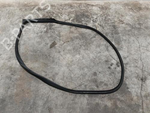 Used Rubber door seal BMW 4 Coupe (F32, F82) 420 d (184 hp) 22580257