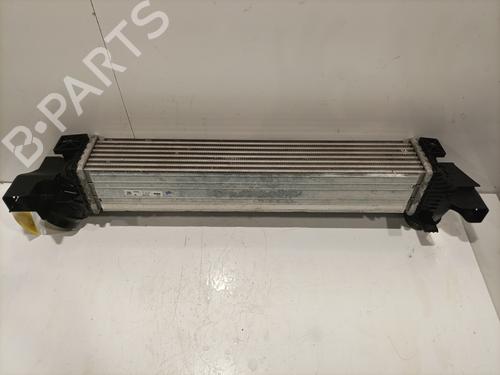 Intercooler BMW 1 (F40) 118 i | BP29756795M30