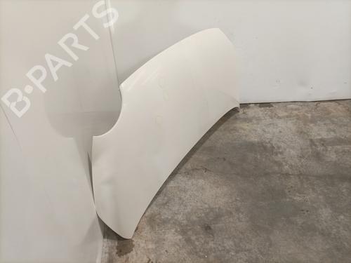 Used Hood Hood FIAT 500 (312_) 1.3 D Multijet (312AXE1A) (95 hp) 36413721 36413721