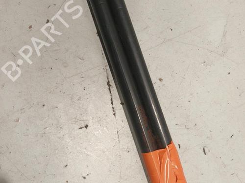 Tailgate lift support HYUNDAI GETZ (TB) 1.5 CRDi | BP22574993C138 