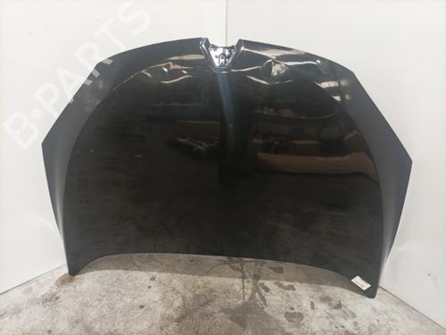 Used Hood RENAULT MEGANE III Hatchback (BZ0/1_, B3_) 1.9 dCi (BZ0N, BZ0J) (131 hp) 22585108