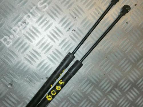 Used Hood lift support RENAULT KANGOO Express (FW0/1_) 1.5 dCi 75 (FW07, FW10, FW04) (75 hp) 22578737