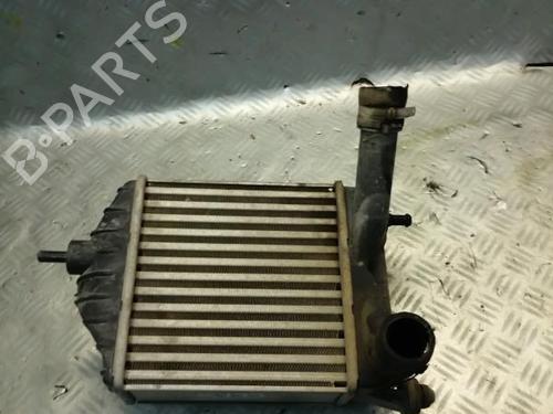 Intercooler FIAT PUNTO (188_) 1.3 JTD 16V | BP22589775M30 