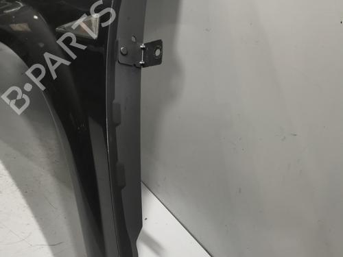 Left front fenders RENAULT MEGANE II (BM0/1_, CM0/1_) 1.5 dCi (BM1E, CM1E) | BP30000028C41