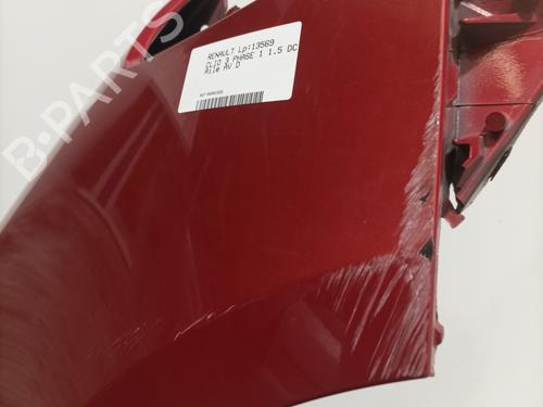 Right front fenders RENAULT CLIO III (BR0/1, CR0/1) 1.5 dCi (BR17, CR17) | BP22589053C42 
