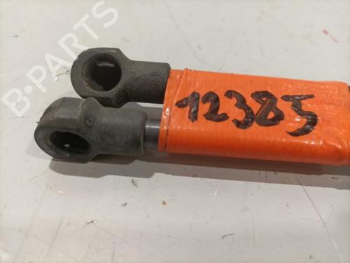 Tailgate lift support SEAT IBIZA III (6L1) 1.9 TDI | BP22579377C138 