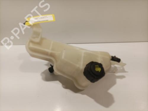 Used Expansion tank NISSAN JUKE (F15) 1.5 dCi (110 hp) 22578974