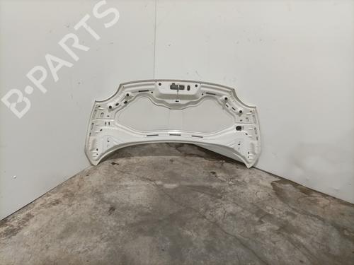 Hood FIAT 500 (312_) 1.3 D Multijet (312AXB1A) | BP28415717C1