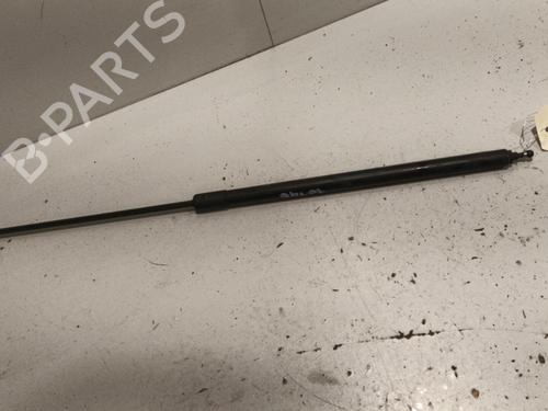 Hood lift support RENAULT MEGANE III Hatchback (BZ0/1_, B3_) 1.5 dCi (BZ09, BZ0D, BZ1W, BZ29, BZ14) | BP22572673C139 
