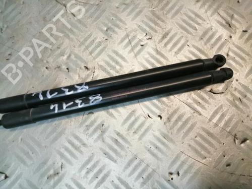 Tailgate lift support NISSAN QASHQAI / QASHQAI +2 I (J10, NJ10, JJ10E) 1.5 dCi | BP22578271C138 