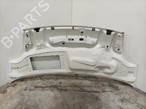 Hood OPEL VIVARO A Van (X83) 2.0 CDTI (F7) | BP31579986C1 