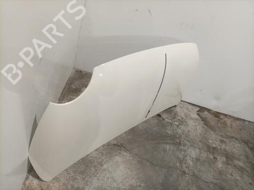 Hood FIAT 500 (312_) 1.3 D Multijet (312AXB1A) | BP28415717C1