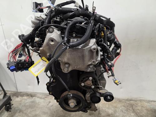Used Engine Engine 39255058 39255058