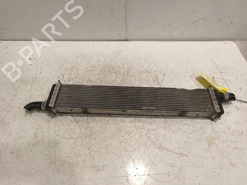 Used Water radiator Water radiator RENAULT CLIO V (B7_) 1.5 Blue dCi 115 (B7AD) (116 hp) 40507608 40507608