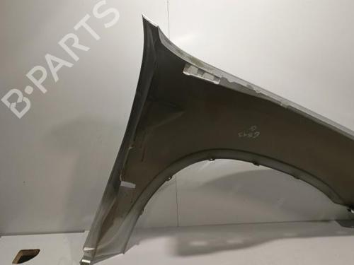 Left front fenders BMW X5 (E53) 3.0 d | BP22574615C41 