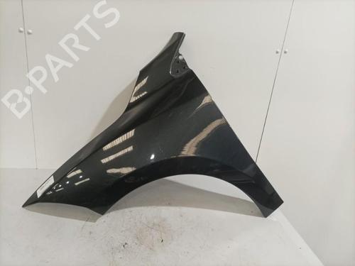 Used Left front fenders RENAULT MEGANE III Hatchback (BZ0/1_, B3_) 1.5 dCi (BZ09, BZ0D, BZ1W, BZ29, BZ14) (110 hp) 22569546