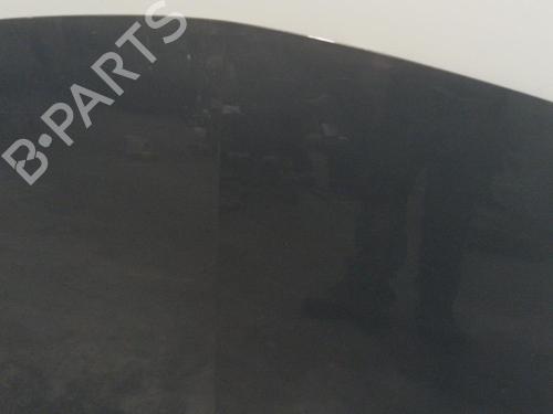 Hood RENAULT MEGANE II (BM0/1_, CM0/1_) 1.5 dCi (BM1E, CM1E) | BP22576541C1 