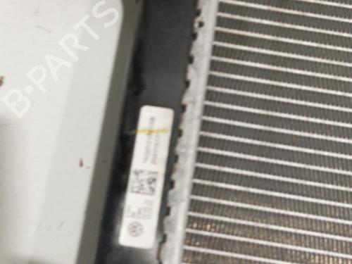 Used Intercooler Intercooler VW GOLF VII (5G1, BQ1, BE1, BE2) 1.6 TDI (110 hp) 22579954 22579954