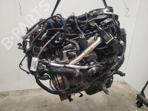 Engine FORD C-MAX II (DXA/CB7, DXA/CEU) 1.5 TDCi | BP37500105M1 - Image 8
